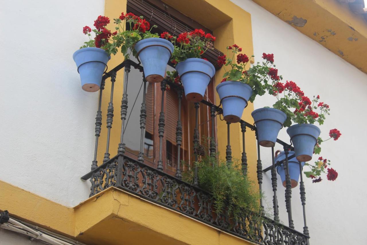 Casa La Nuez 2*